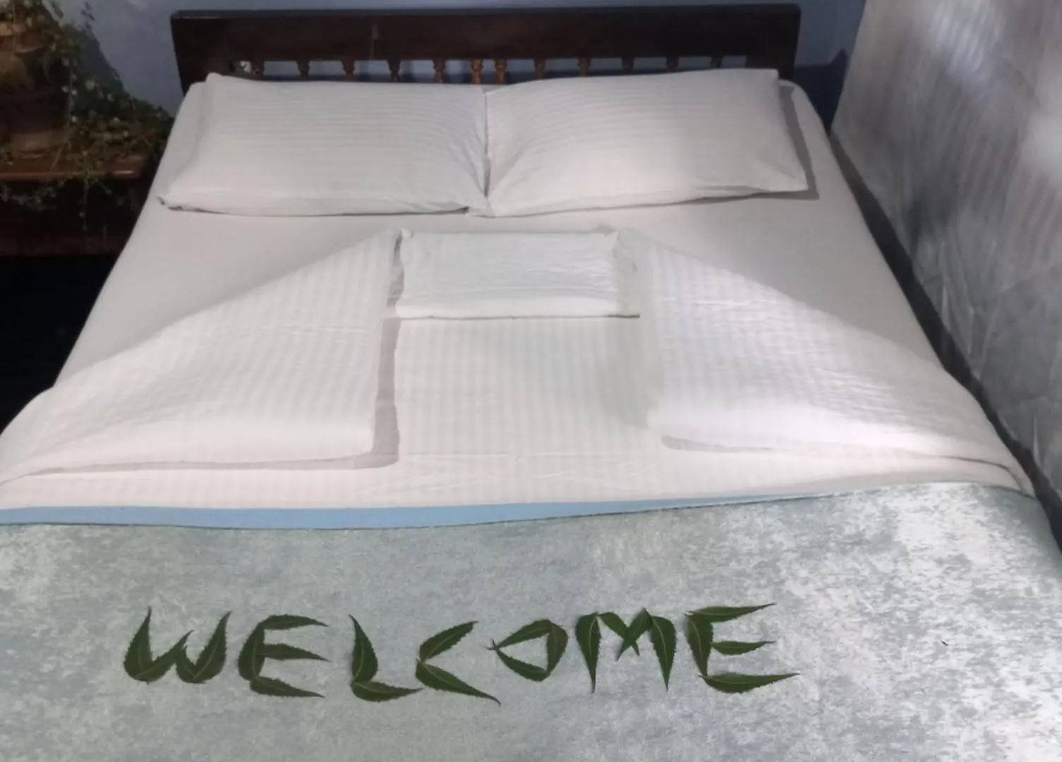 Sigiri Hunter Homestay & Hostel & Guide Room Sigiriya Sri Lanka