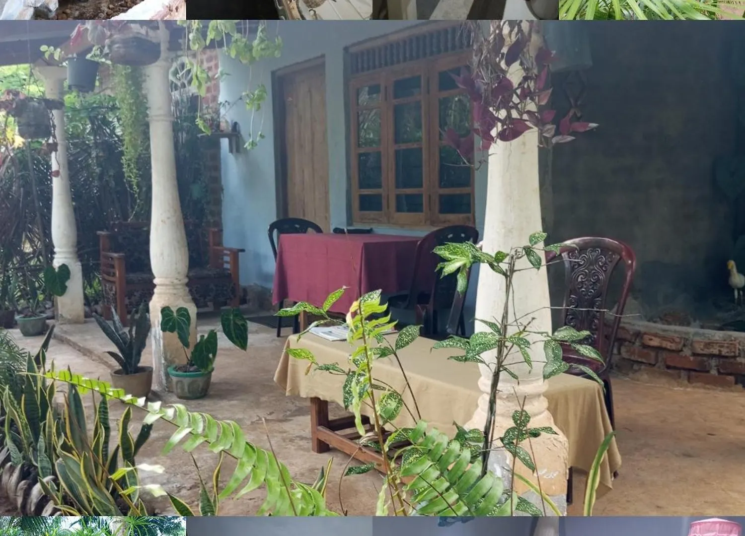 Sigiri Hunter Homestay & Hostel & Guide Room Sigiriya