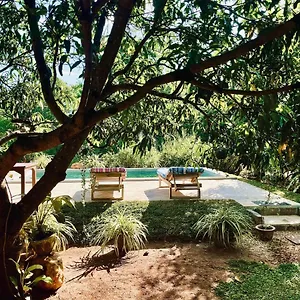 Shan Mango Sigiriya